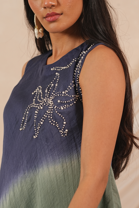 Mist Mul Chanderi Dress