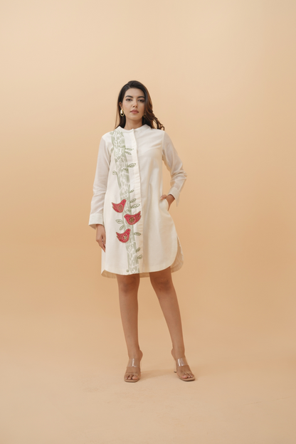 Dhawal Pure Chanderi Dress