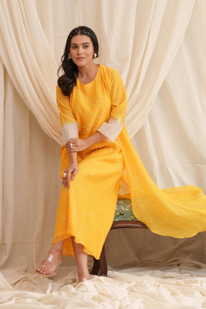 Haiku (Yellow) Mul Chanderi Dress