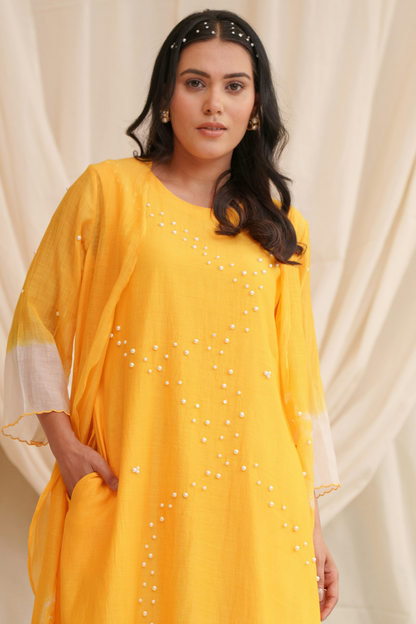Haiku (Yellow) Mul Chanderi Dress