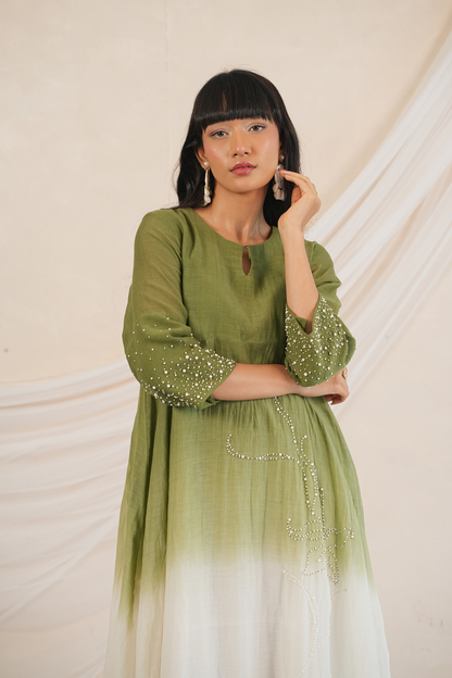 Moss Mul Chanderi Dress