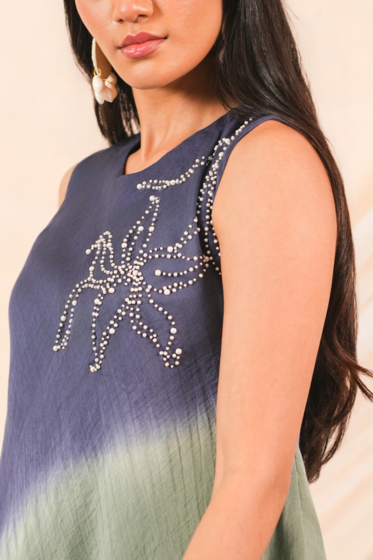 Mist Mul Chanderi Dress