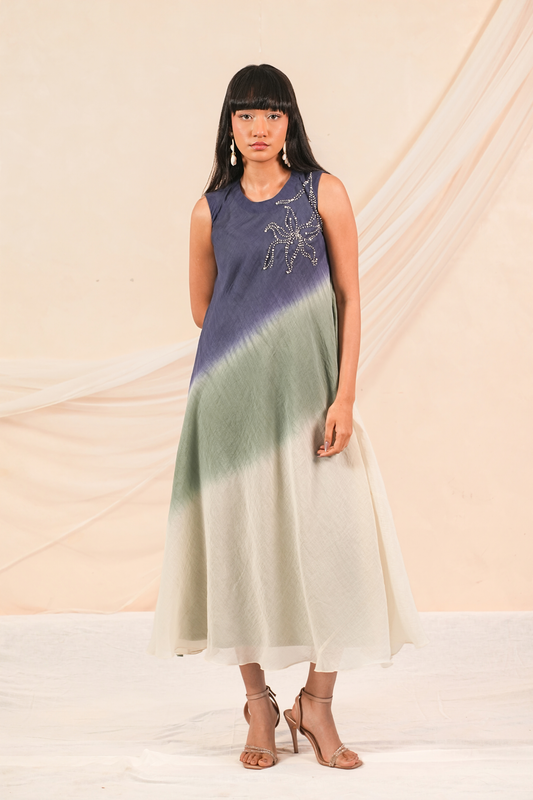 Mist Mul Chanderi Dress