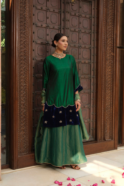 Dilkashi Pure Silk Kurta