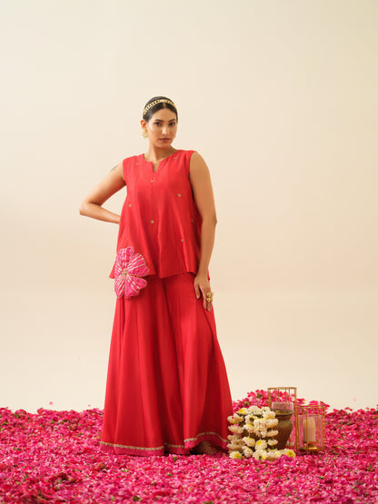 Mehrunisa Pure Chanderi Top