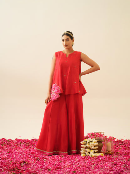 Mehrunisa Pure Chanderi Top