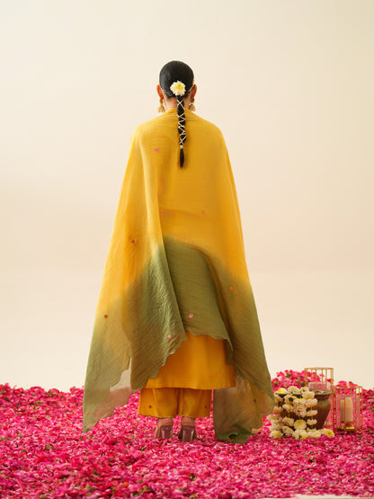 Ahilya Pure Chanderi Kurta