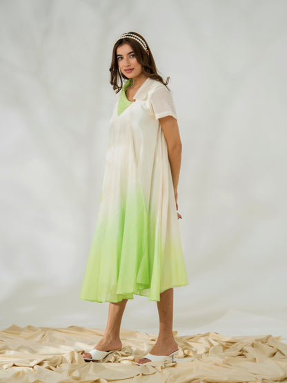 Seep Pure Chanderi Dress